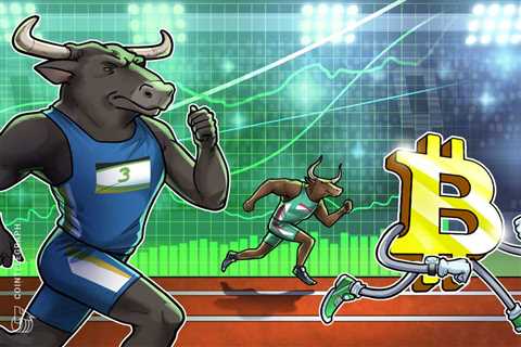 'Monster bull move' means whales could secure the next Bitcoin price surge