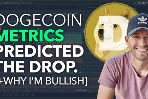 DOGECOIN - METRICS PREDICTED THE DROP [WHY I'M BULLISH] - DogeCoin Market News Now