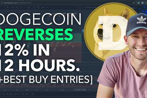 DOGECOIN - REVERSES 12% IN 12 HOURS [+BEST BUY ENTRIES] - DogeCoin Market News Now