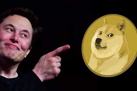 Elon Musk Sells Tesla Shares For $5B. Will He Buy Dogecoin? - DogeCoin Market News Now