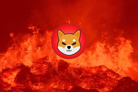 917 Million Shiba Inu Burned In One Week - Shiba Inu Market News