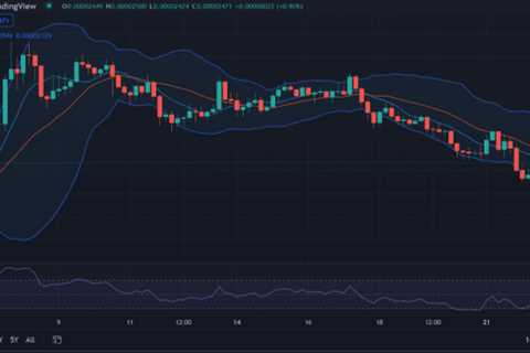 Shiba Inu price analysis: SHIB shows bullish potential at $0.00002472 - Shiba Inu Market News