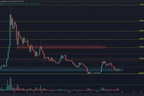 What to do next with Shiba Inu's possible entry into an accumulation phase - Shiba Inu Market News