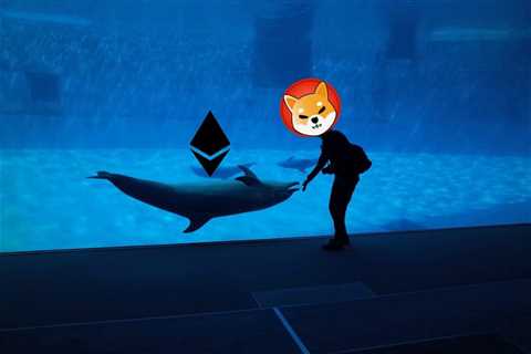 Shiba Inu is once again the favorite of the ETH whales. Here’s what data tells us