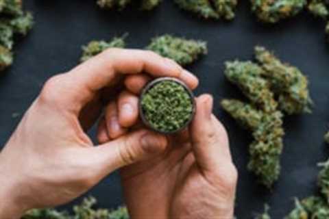Cannabis Stocks Alert: Why Are ACB, CGC, TLRY, SNDL, GRWG, OGI Stocks in Focus Today? - Shiba Inu..