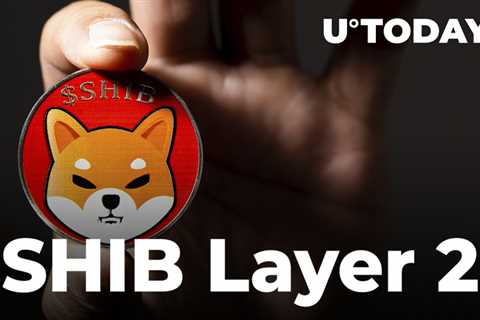 SHIB Layer 2 Shibarium Project TestNet Almost Here; This Is How Far It Has Gone - Shiba Inu Market..