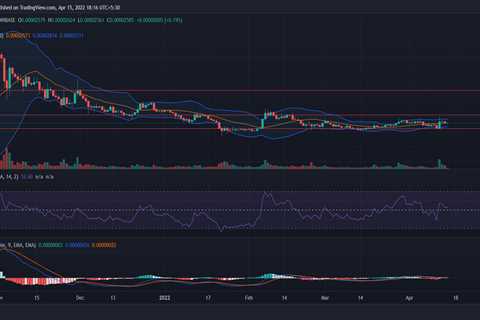 Is Shiba Inu’s 'James Bond’ role outshining other altcoins - Shiba Inu Market News