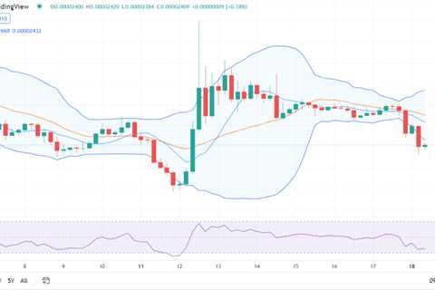 Shiba Inu price analysis: SHIB crashes at $0.00002404 - Shiba Inu Market News