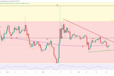 Why Shiba Inu price is set for a 15% value increase - Shiba Inu Market News