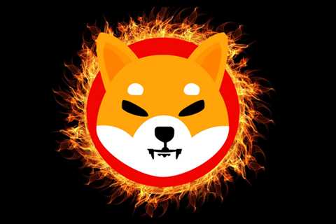 Shiba Burn Portal Has Destroyed More SHIB Than The Whole Of 2022