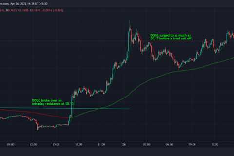 Dogecoin, ApeCoin see higher-than-usual liquidations in volatile trading