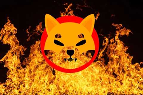 22.5 Billion Shiba Inu Burned by the New Portal in a Week