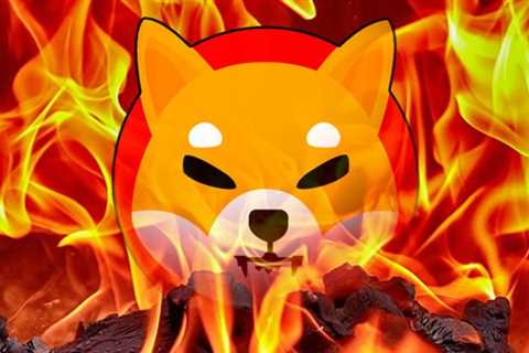 Shiba Inu team announces reward cycle for burnt tokens