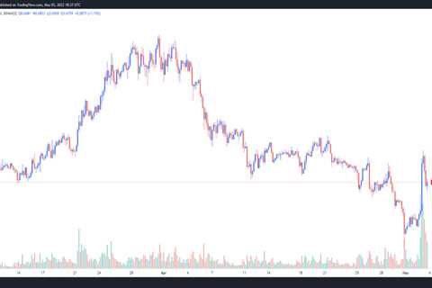 Markets are weak, but ALGO, FXS and HNT book a 20%+ rally — Here’s why