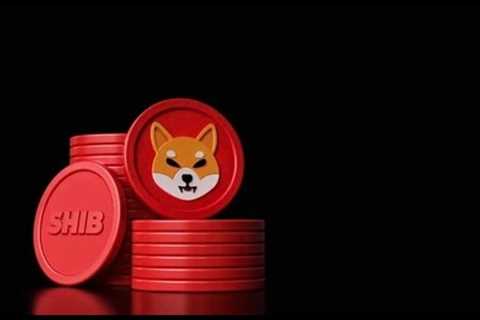 What Does the Locked Shiba Inu in Dead Wallets Mean For Investors?