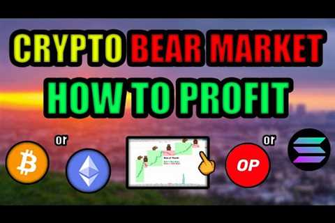 How To Make CRAZY Money in Cryptocurrency During a BEAR MARKET! Ethereum or Bitcoin? or Solana?