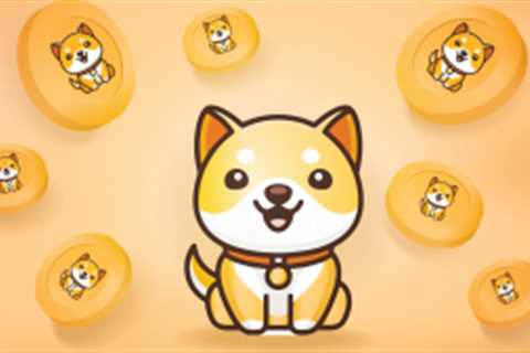 Baby Doge Coin Price Predictions: Where Will the Red-Hot BABYDOGE Crypto Go Next? - Shiba Inu..