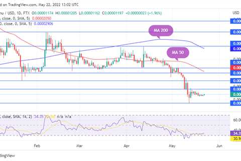 SHIB Price Hints at Incoming Volatility, Holders Increase by Nearly 20,000 - Shiba Inu Market News