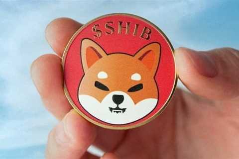 Number of SHIB transactions drop to 14-month low as 72% of holders in a loss - Shiba Inu Market News