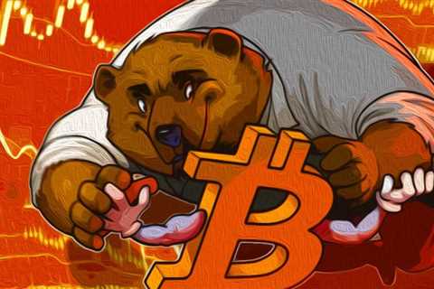 Do Recent Bitcoin Gains Signal a Bottom or is this Just a Bear Bounce?