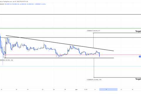 How to profitably trade Shiba Inu price despite the bear infestation - Shiba Inu Market News