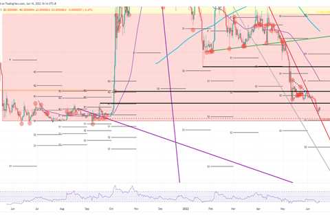 What to do with SHIB price action while hibernating for the crypto winter - Shiba Inu Market News