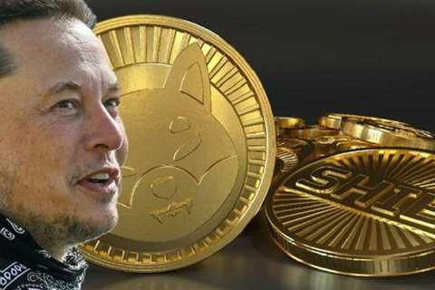 Elon Musk says he will keep supporting Dogecoin amid $258 billion lawsuit