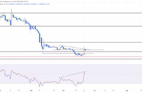 Caution, Shiba Inu price could undo recent gains if this happens - Shiba Inu Market News