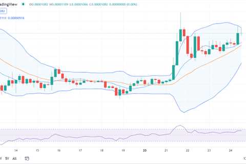 Shiba Inu price analysis: SHIB expected to stay bullish for the next 24 hours - Shiba Inu Market..