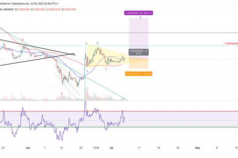 Is Shiba Inu price setting up an opportunity to recoup this year's losses? - Shiba Inu Market News