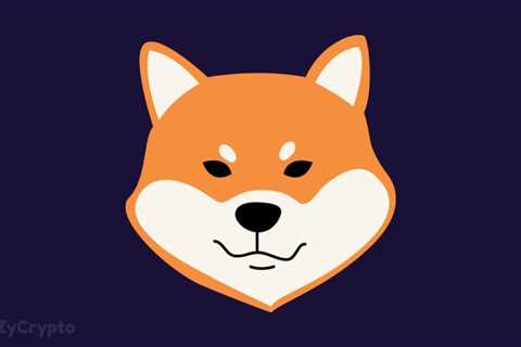 Shiba Inu Primed For Strong Recovery As Ecosystem Mulls Introducing Stablecoin Before Year-End ⋆..