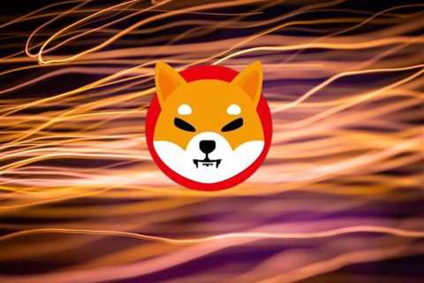 Shiba Inu Burn Project ShibaPlay Reveals Their Burn Target