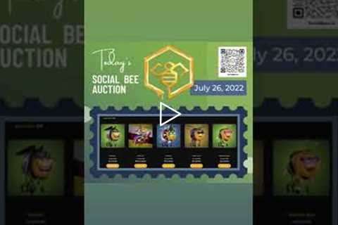 The Social Bees Action For Day 54