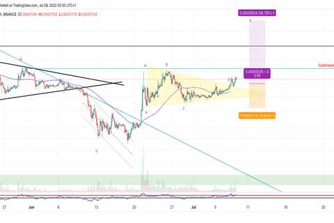 This new scenario could solve the equation - Shiba Inu Market News