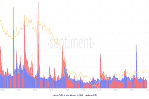 Investors, look at 'Burning' SHIB's latest buying spree on Coinbase - Shiba Inu Market News