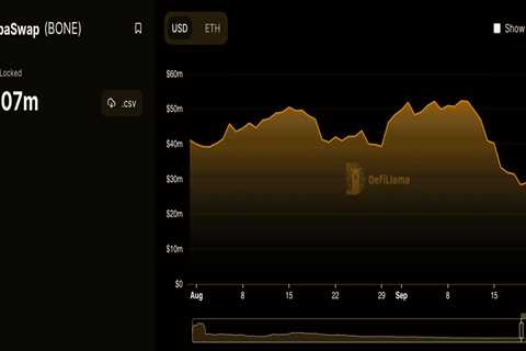 Have ETH whales altered their palate to the likes of SHIB's 'BONE's - Shiba Inu Market News