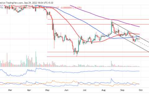 It’s more dump than pump as SHIB burning rate drops 88% - Shiba Inu Market News