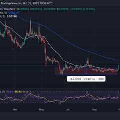 Dogecoin (DOGE) Rallies With Over 10% Gains; Will Price Finally Hit $0.1?