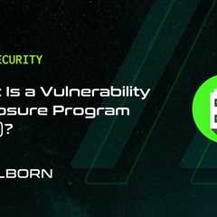 What Is a Vulnerability Disclosure Program (VDP)?