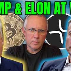 MEGA CRYPTO NEWS! PRESIDENT TRUMP AND ELON MUSK AT WAR! THIS IS CRAZY!
