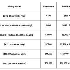 Who Can Survive After Solana? How OPTO Miner Is Building Sustainable Returns