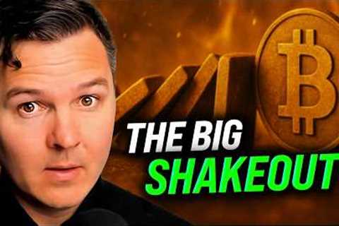 The Great Crypto Reset Just Happened [Here’s What Comes Next]