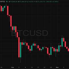 Bitcoin Is Passing the Geopolitical Test. Why Is Crypto Rising While Stocks Fall?