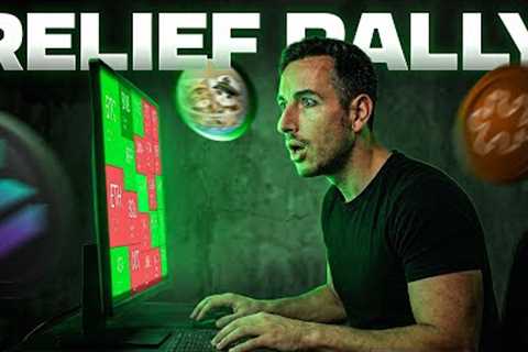 Will The Crypto Rally Actually Continue? [These Are My Picks]